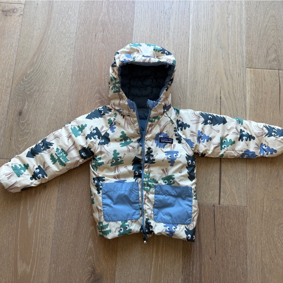 Patagonia Reversible Down Sweater Hoody - Picture 4 of 4